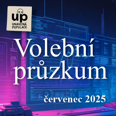 Ikona Politika
